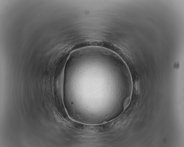 X0000090720963200707271149