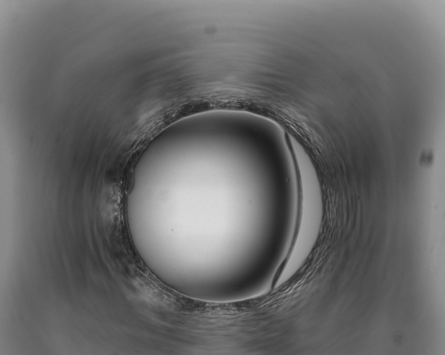 X0000090720964200707271149