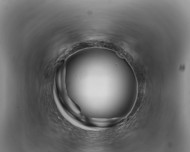 X0000090720965200707271149