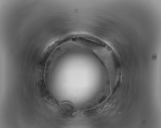 X0000090720967200707271149