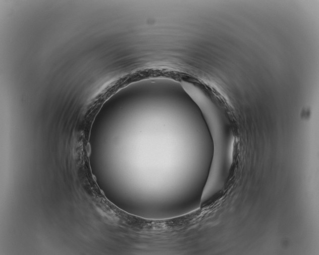 X0000090720968200707271149