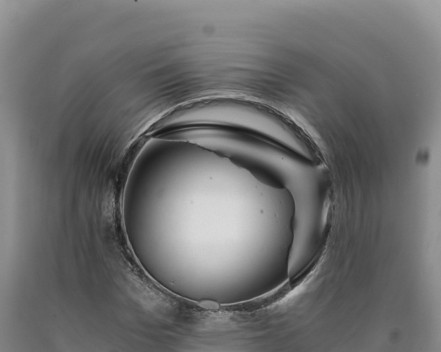 X0000090720969200707271149