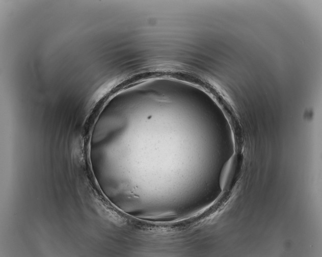 X0000090720970200707271149