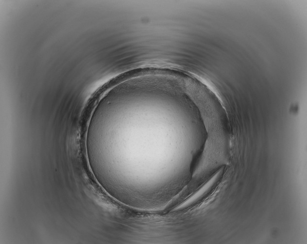 X0000090720971200707271149