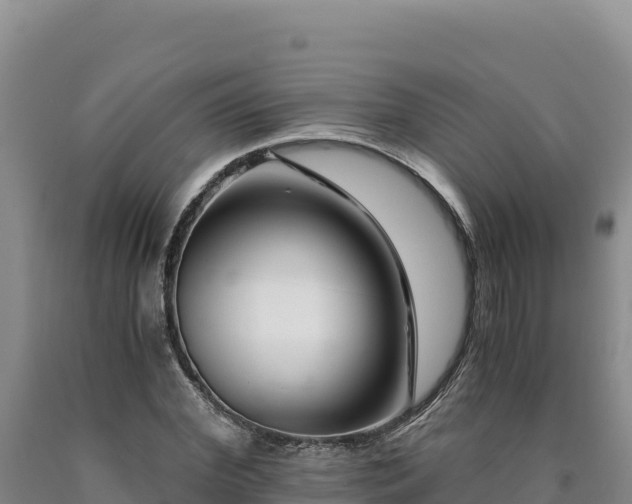 X0000090720972200707271149
