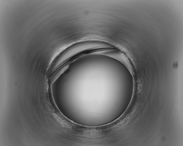 X0000090720973200707271149