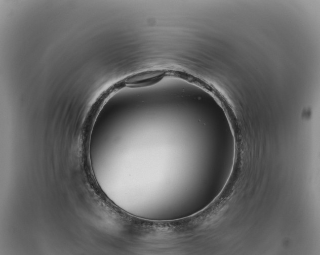 X0000090720975200707271149