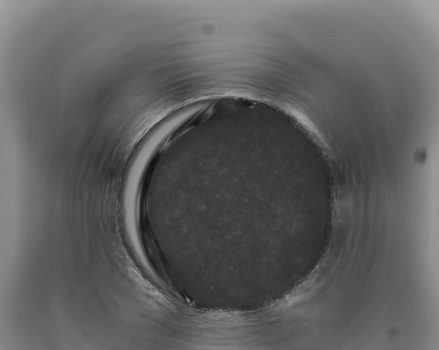 X0000090720977200707271149