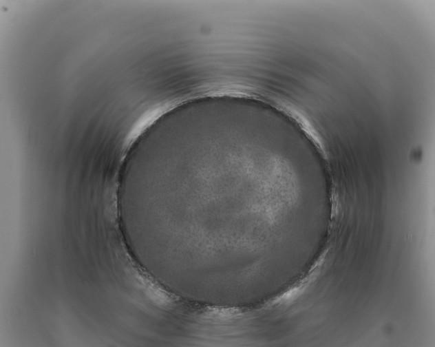 X0000090720978200707271149