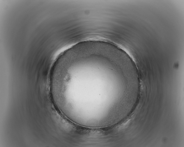 X0000090720979200707271149