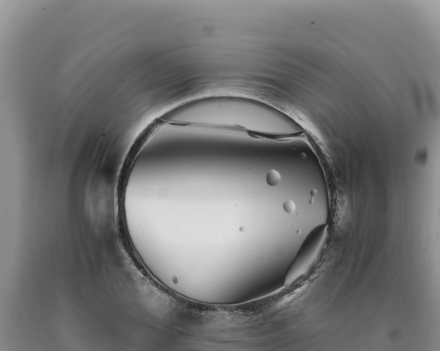 X0000090720980200707271149