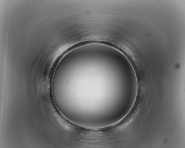 X0000090720981200707271149