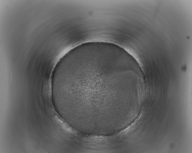 X0000090720982200707271149