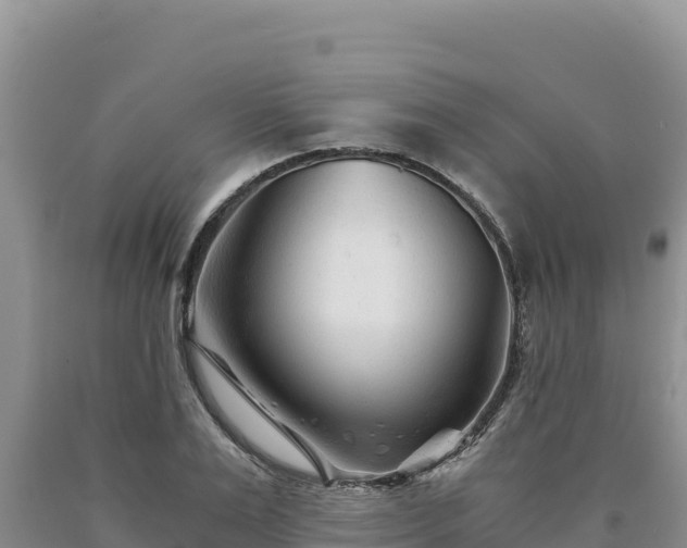 X0000090720983200707271149
