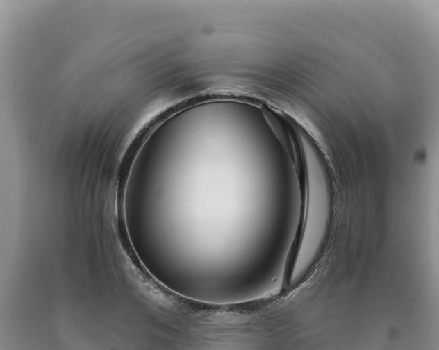 X0000090720984200707271149