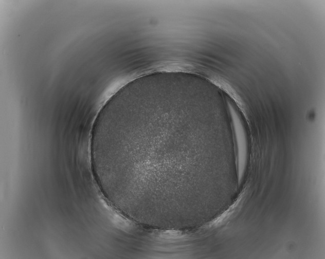 X0000090720986200707271149