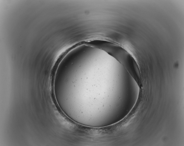 X0000090720987200707271149