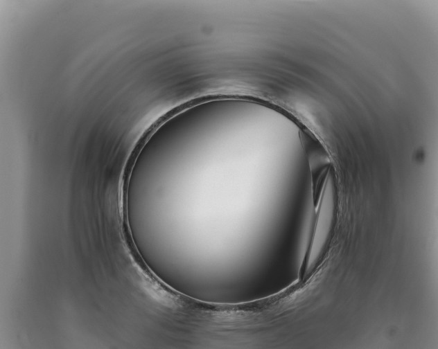 X0000090720988200707271149