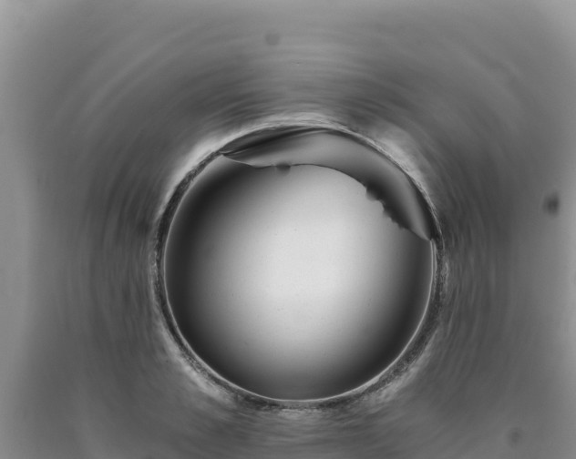 X0000090720989200707271149