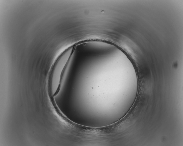 X0000090720991200707271149