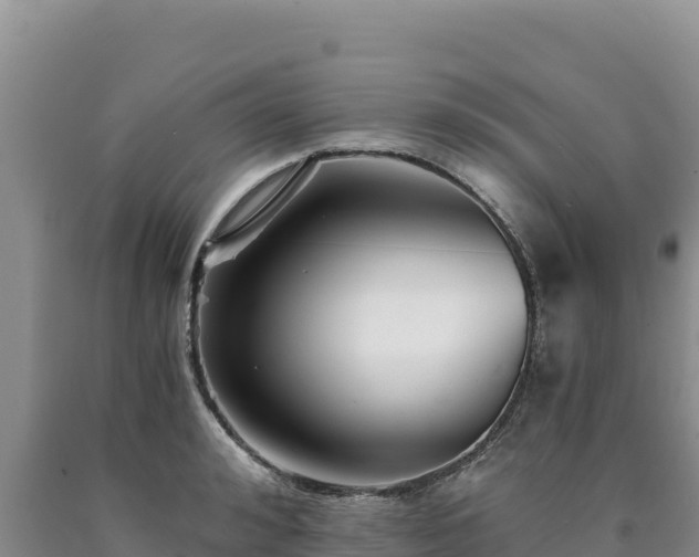 X0000090720992200707271149
