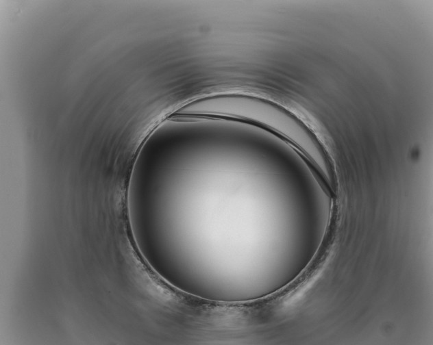 X0000090720993200707271149