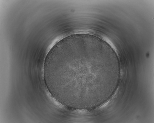 X0000090720994200707271149