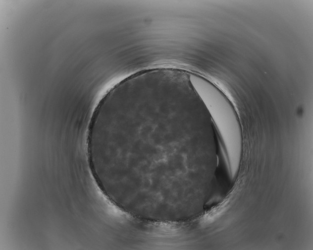 X0000090720995200707271149