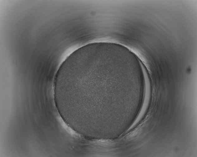 X0000090720998200707271149
