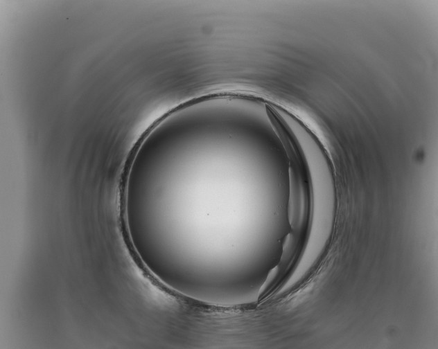 X0000090720999200707271149