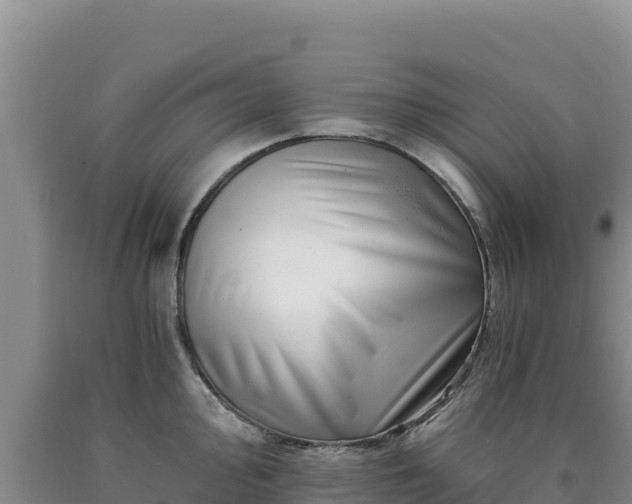 X0000090721000200707271149