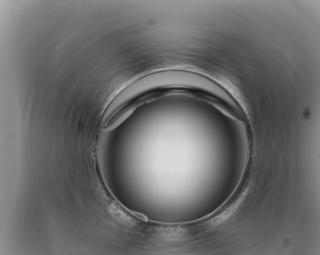 X0000090721001200707271149
