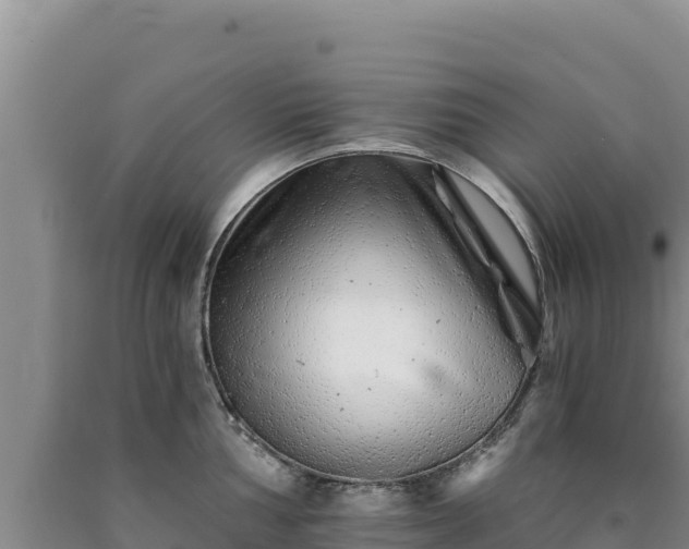 X0000090721002200707271149