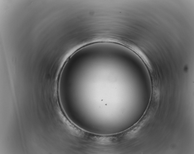 X0000090721004200707271149
