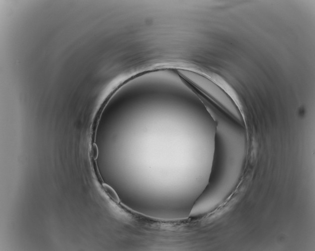 X0000090721005200707271149