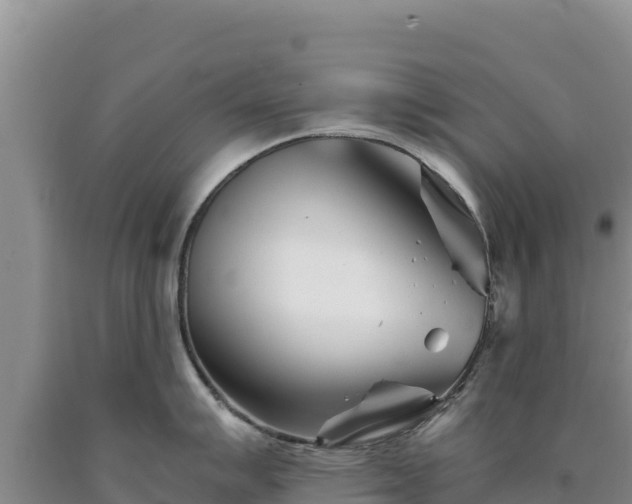 X0000090721007200707271149