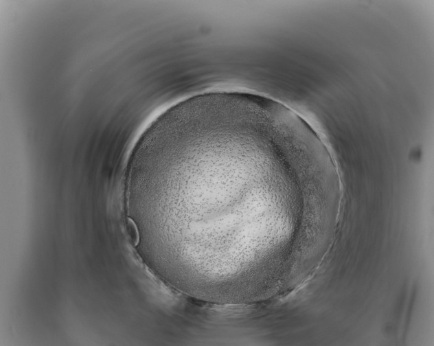 X0000090721008200707271149