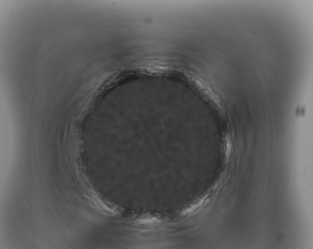 X0000090721009200707271148