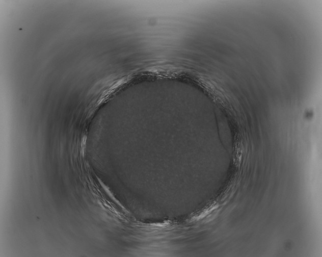 X0000090721010200707271148