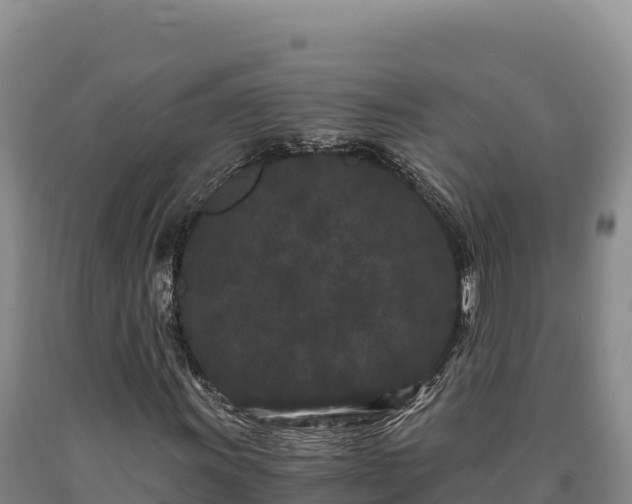 X0000090721011200707271148
