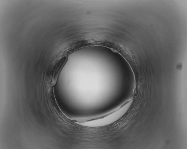 X0000090721012200707271148