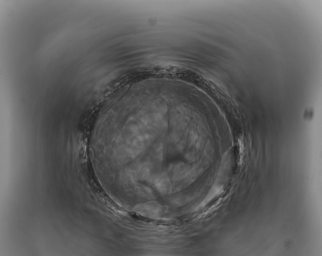 X0000090721013200707271148