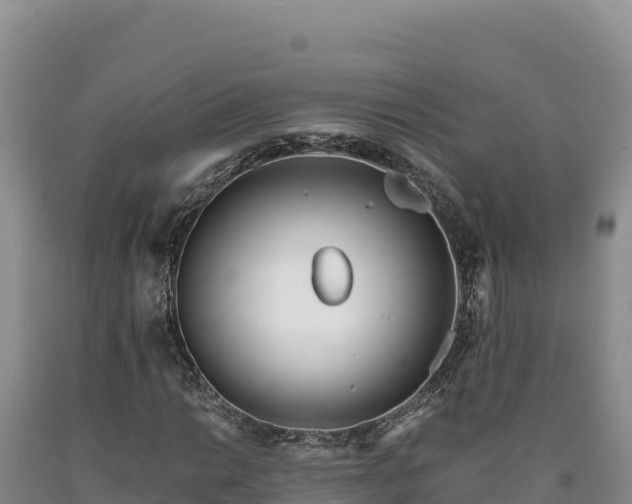 X0000090721014200707271148