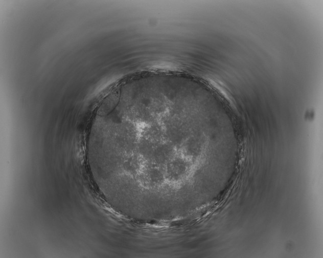 X0000090721015200707271148