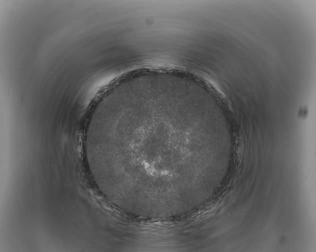 X0000090721016200707271148