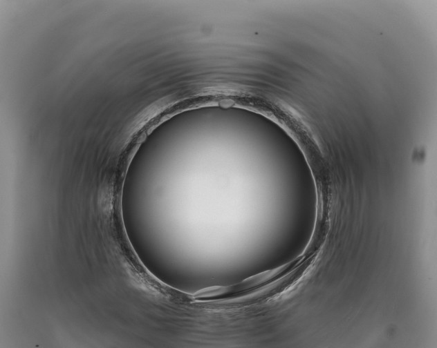 X0000090721017200707271148
