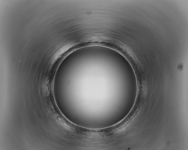 X0000090721018200707271148
