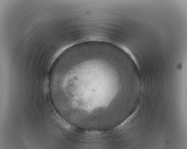 X0000090721019200707271148