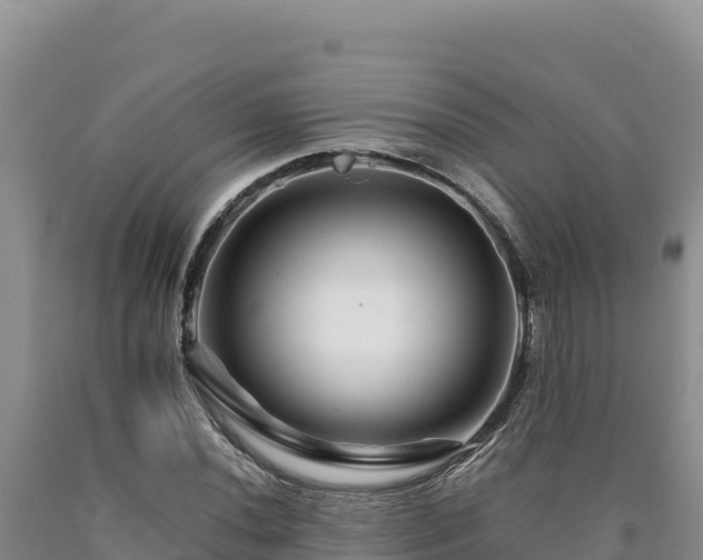 X0000090721020200707271148