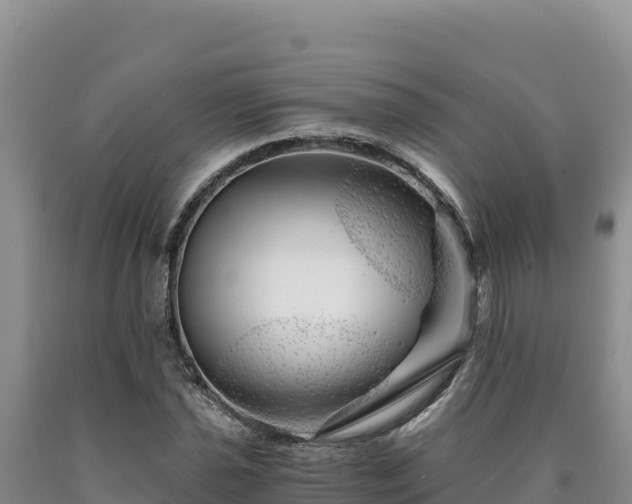 X0000090721021200707271148